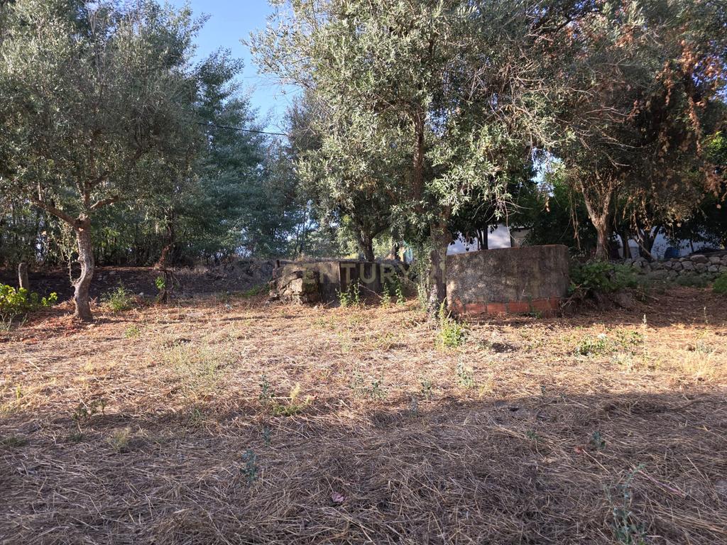 Terreno Rústico em Castelo Novo, Fundão - 2311m² por 19900€ - Image 8