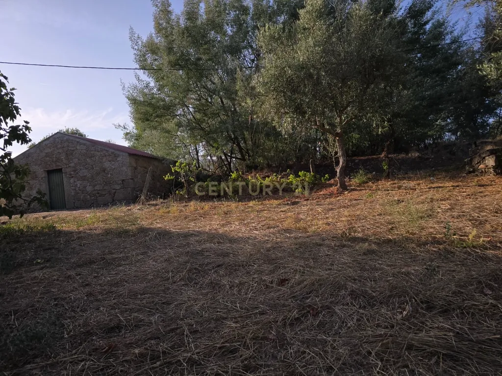 Terreno Rústico em Castelo Novo, Fundão - 2311m² por 19900€ - Image 4