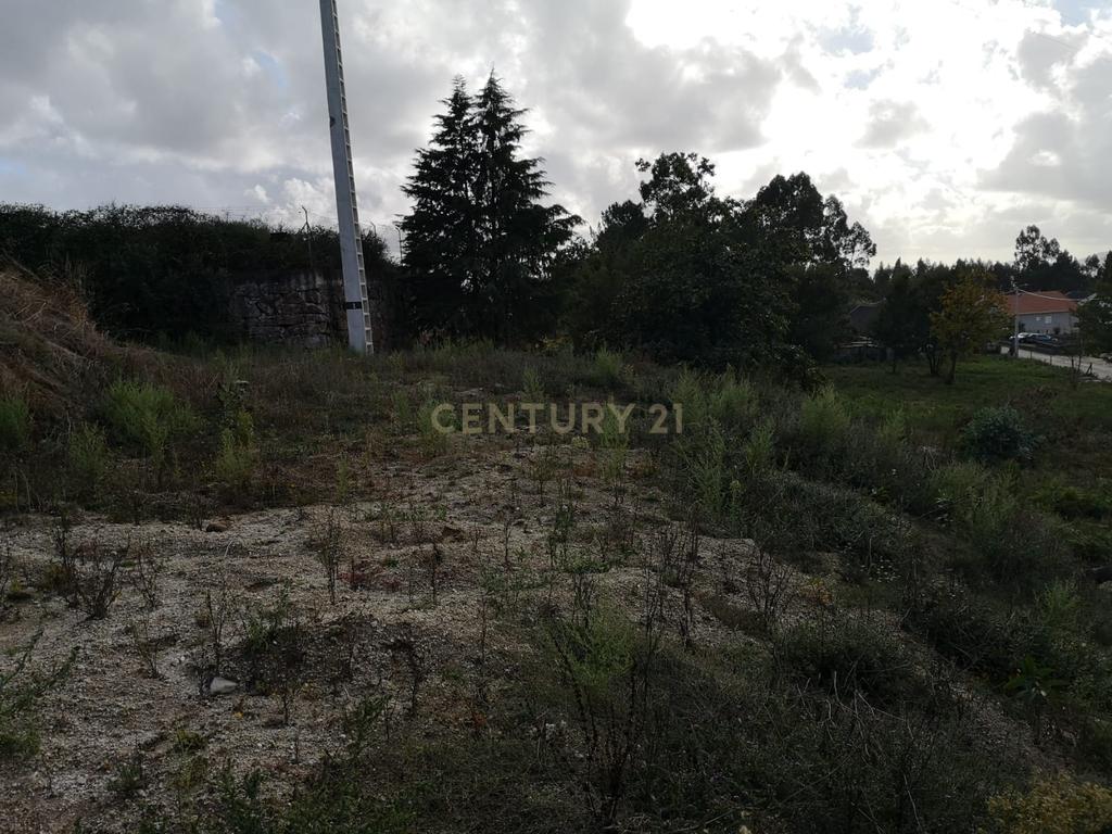 Terreno com Viabilidade de Construção em Croca, Penafiel - Image 5