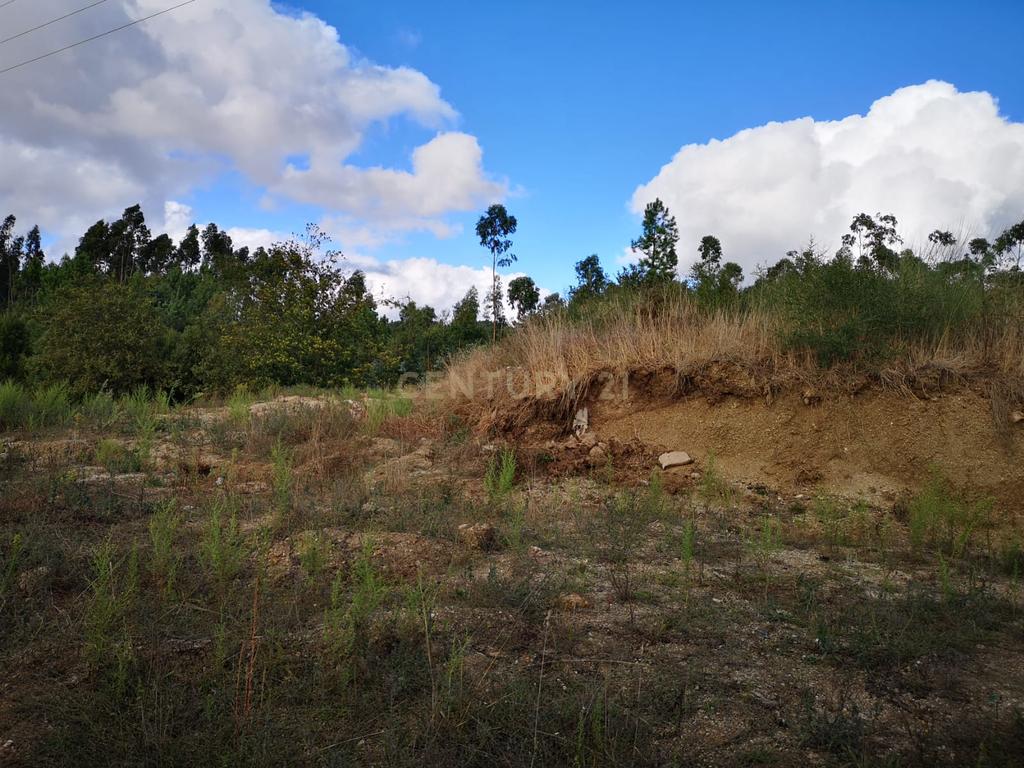 Terreno com Viabilidade de Construção em Croca, Penafiel - Image 1