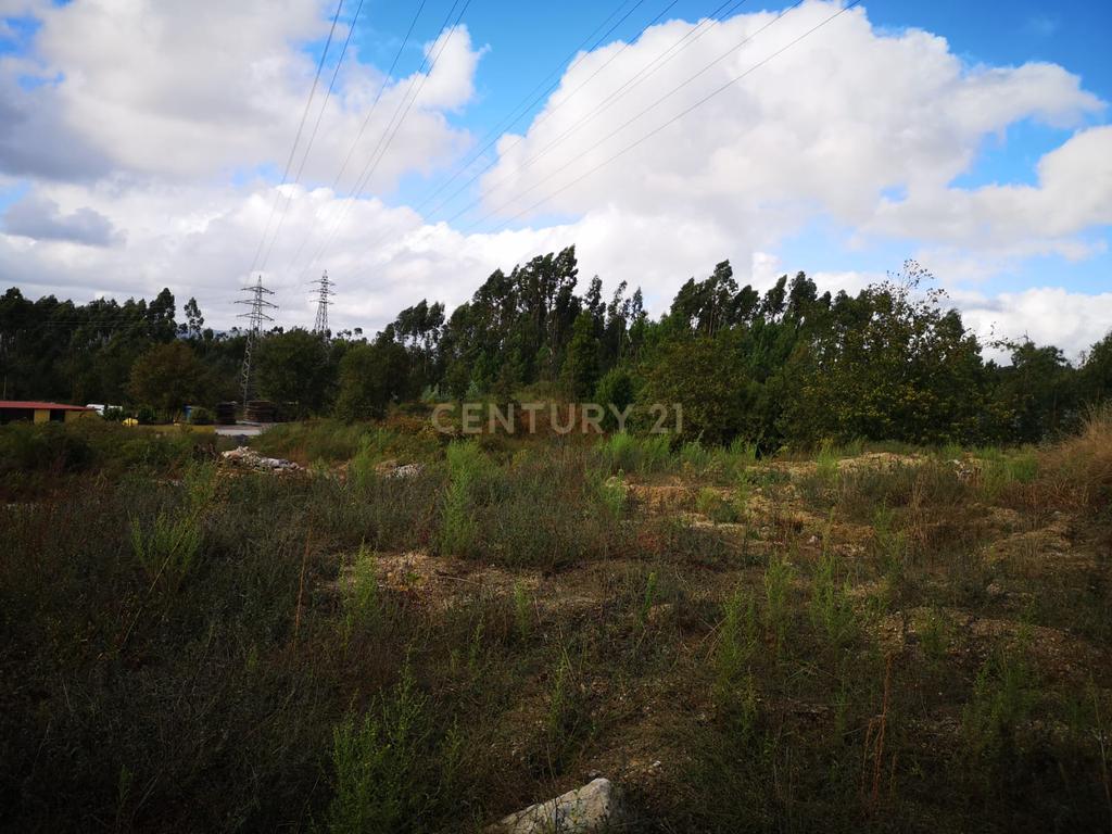 Terreno com Viabilidade de Construção em Croca, Penafiel - Image 2