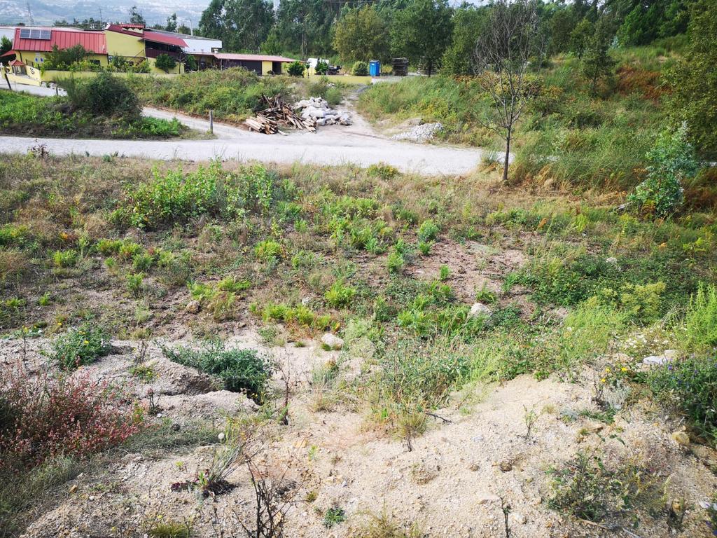 Terreno com Viabilidade de Construção em Croca, Penafiel - Image 10