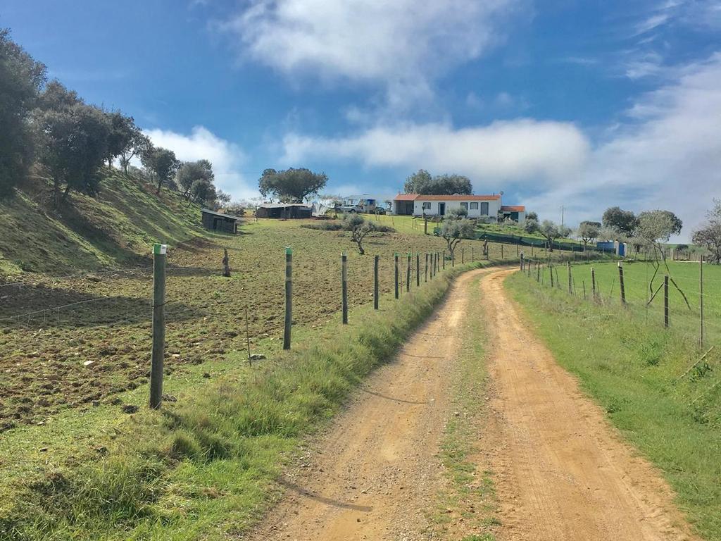 Monte Em Sousel - Image 1