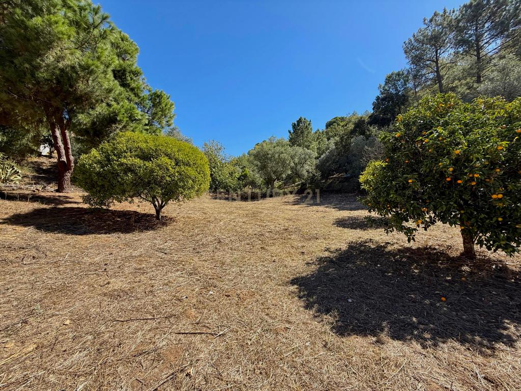 Quinta Parque Natural Arrábida - Image 17