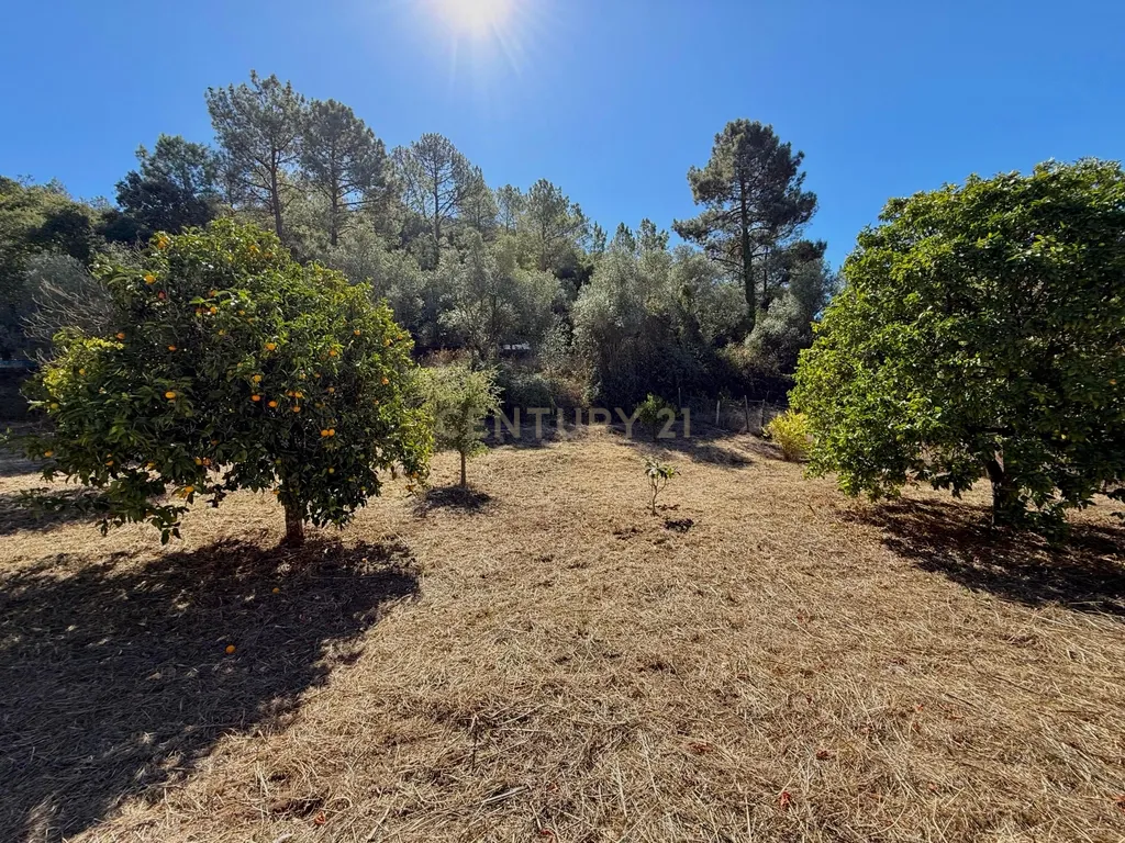 Quinta Parque Natural Arrábida - Image 19