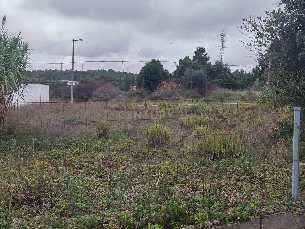 Terreno urbano com 650m2, Quinta da Mainça, Coimbra - Image 4