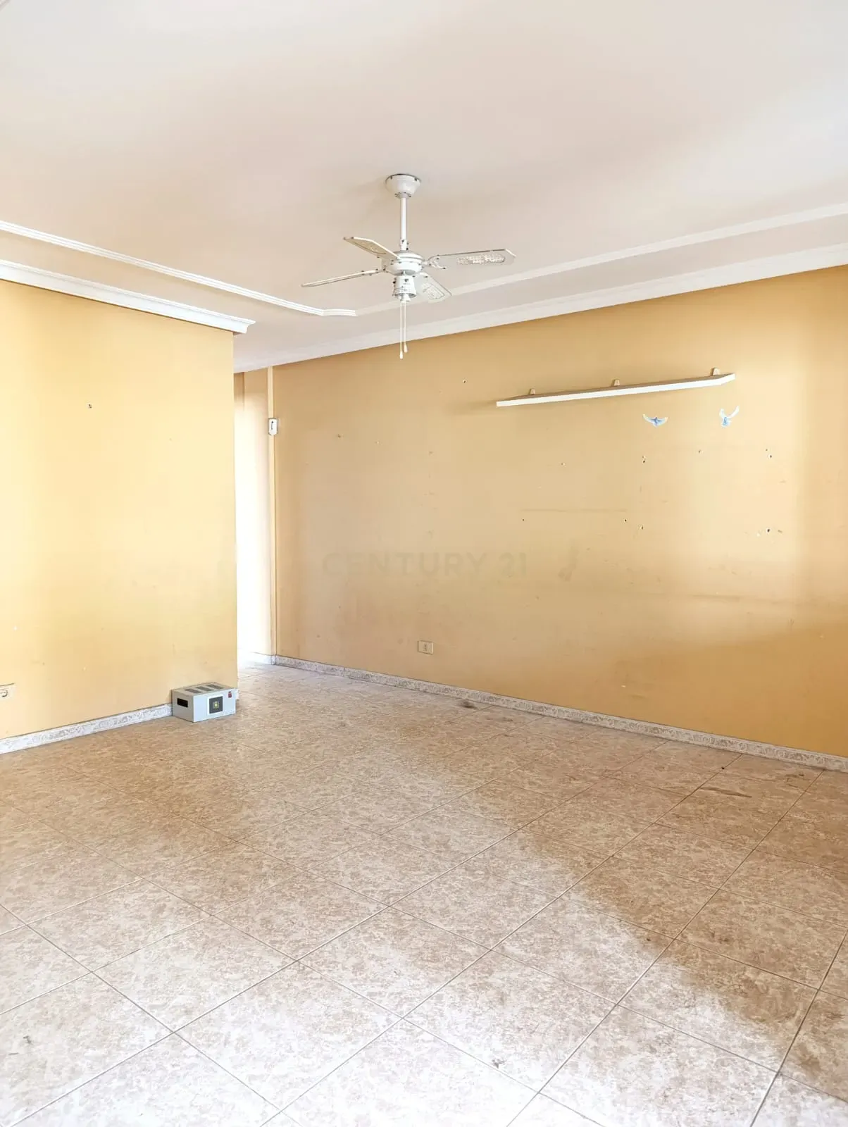 undefined - Image 6