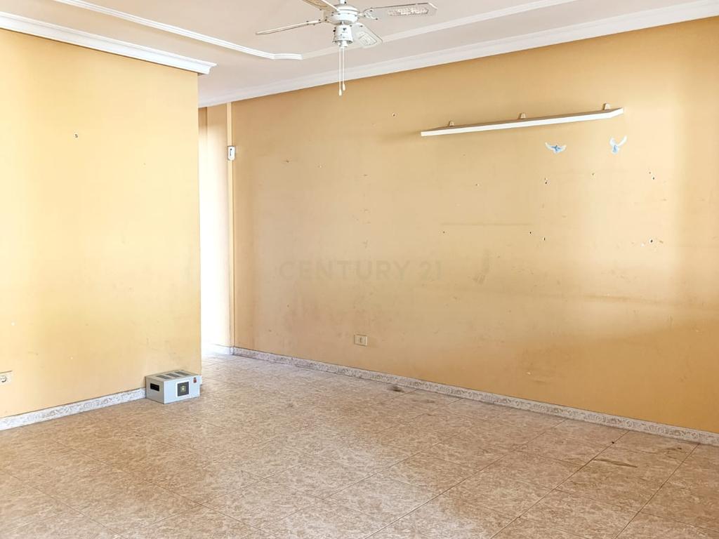 undefined - Image 6