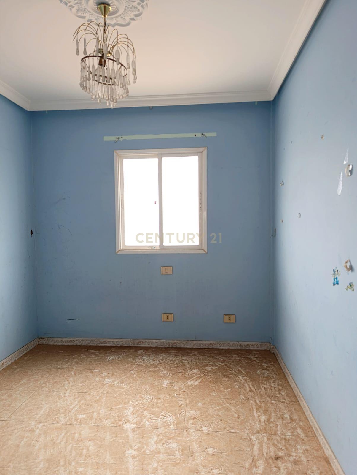 undefined - Image 11