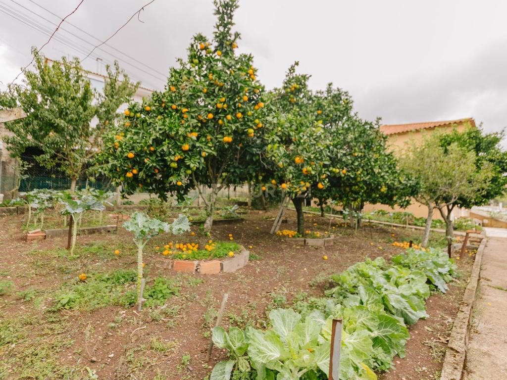 Lote de terreno rústico com uma área de 394m2 e possibilidade de construção de 366m2. - Image 12