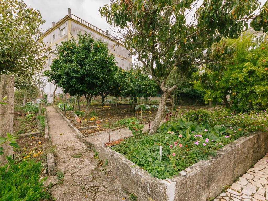 Lote de terreno rústico com uma área de 394m2 e possibilidade de construção de 366m2. - Image 3