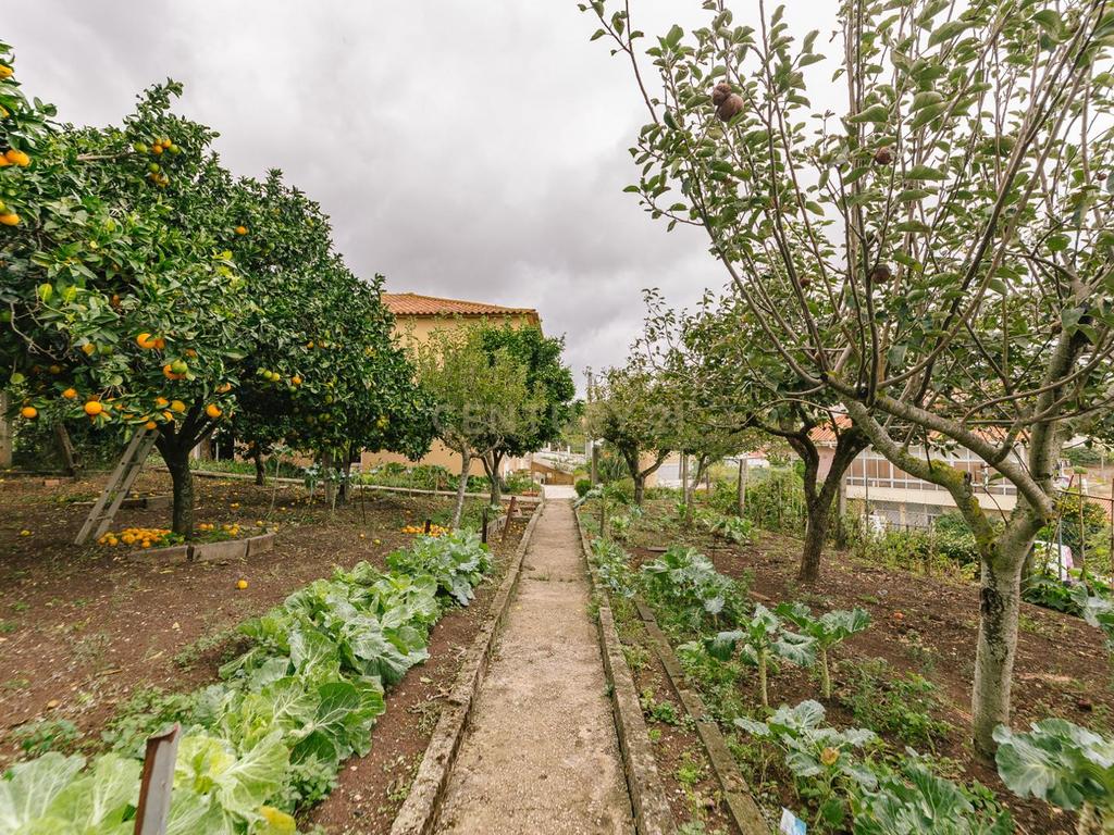 Lote de terreno rústico com uma área de 394m2 e possibilidade de construção de 366m2. - Image 2