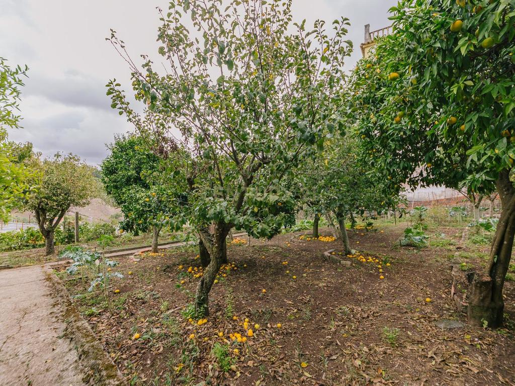 Lote de terreno rústico com uma área de 394m2 e possibilidade de construção de 366m2. - Image 7