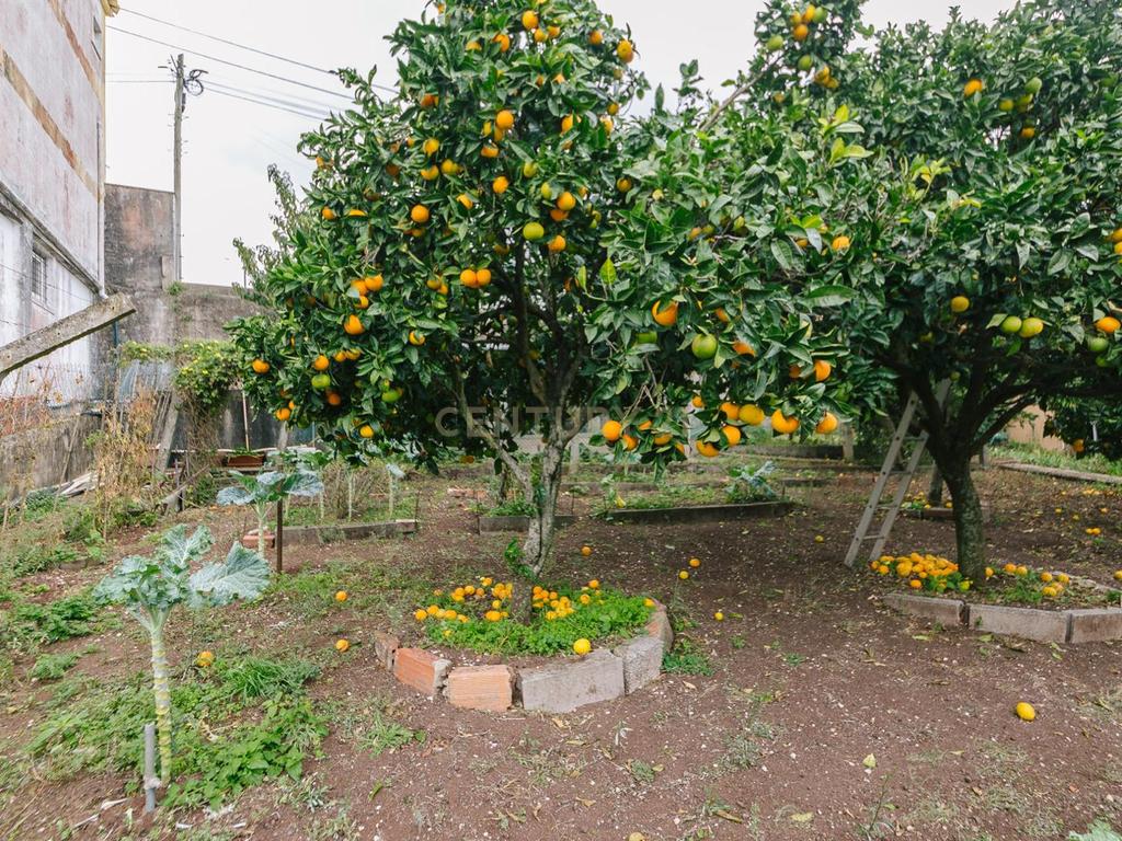 Lote de terreno rústico com uma área de 394m2 e possibilidade de construção de 366m2. - Image 9