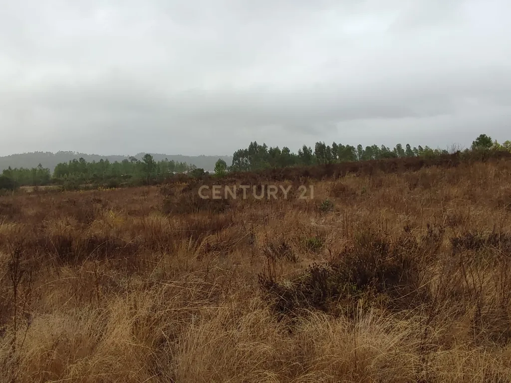 Terreno Rústico com 14.000m2, Chã da Vâ, Castelo Branco - Image 8