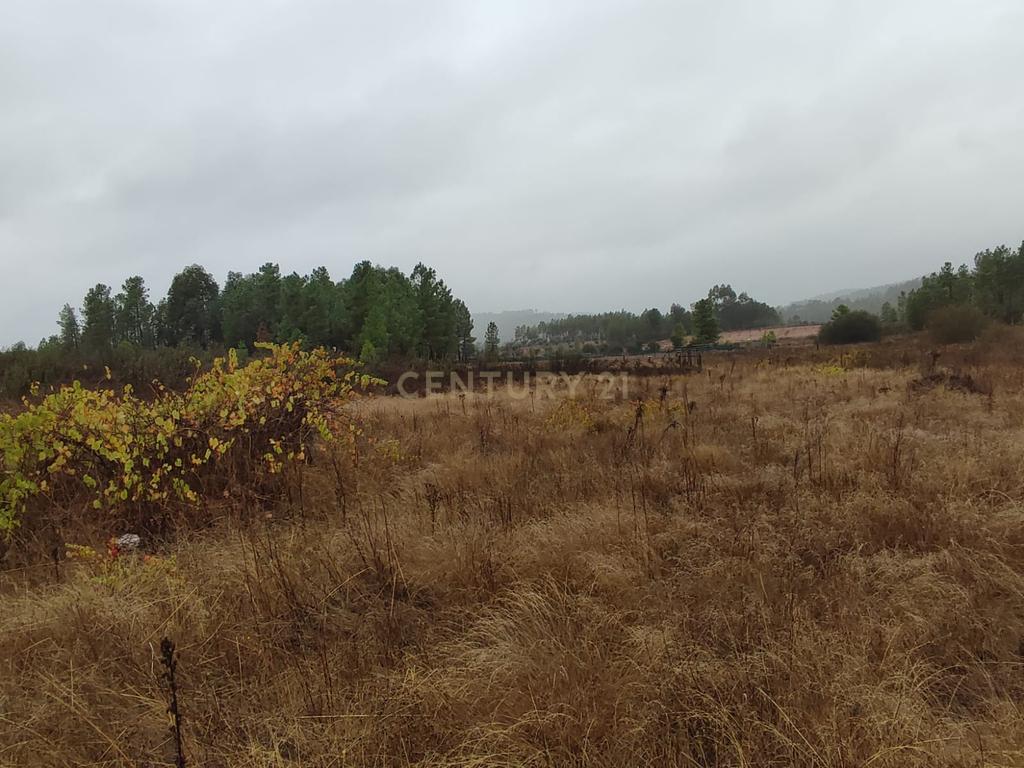 Terreno Rústico com 14.000m2, Chã da Vâ, Castelo Branco - Image 9