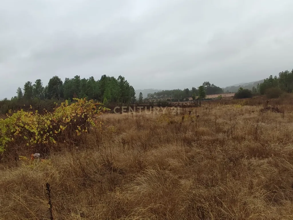 Terreno Rústico com 14.000m2, Chã da Vâ, Castelo Branco - Image 9