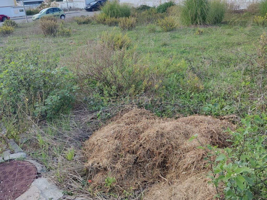 Lote Construção com 444m2 em Ribamar - Image 6