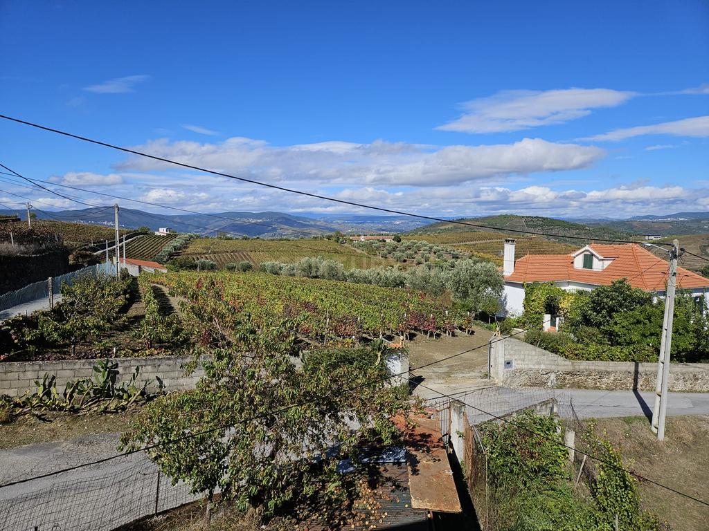 Moradia no Coração do Douro, Ervedosa do Douro - Image 28