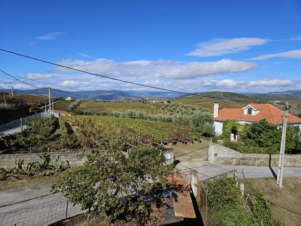 Moradia no Coração do Douro, Ervedosa do Douro - Image 28