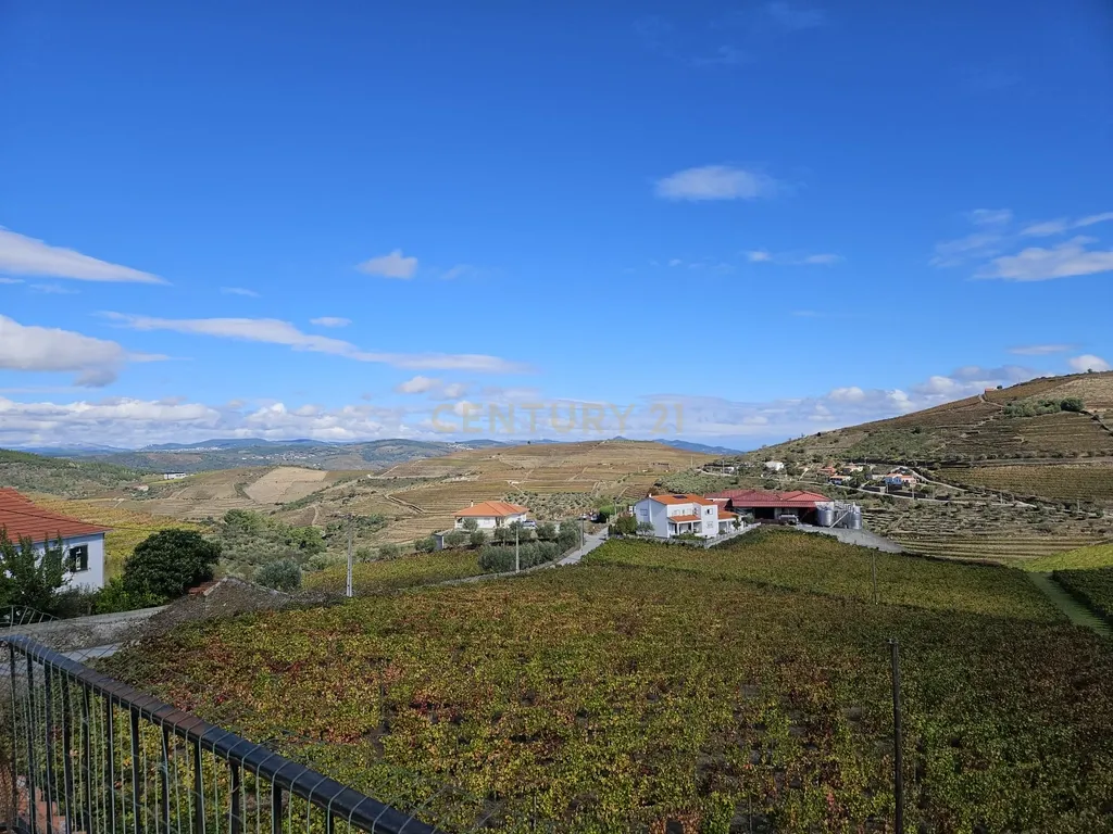 Moradia no Coração do Douro, Ervedosa do Douro - Image 4