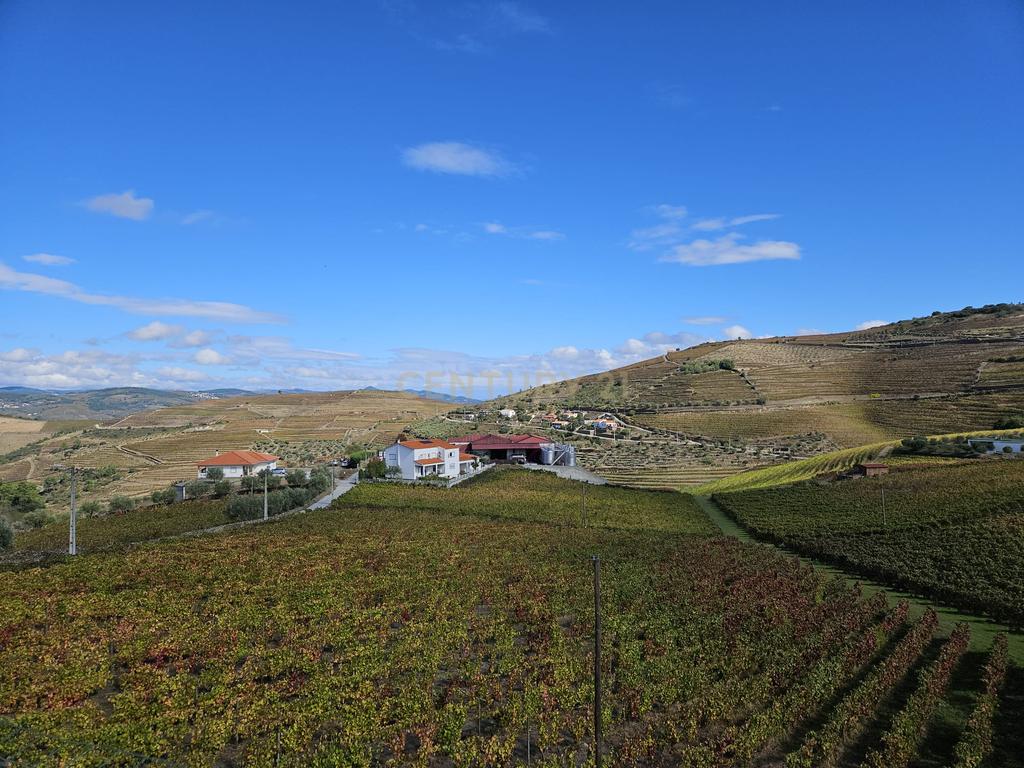 Moradia no Coração do Douro, Ervedosa do Douro - Image 36