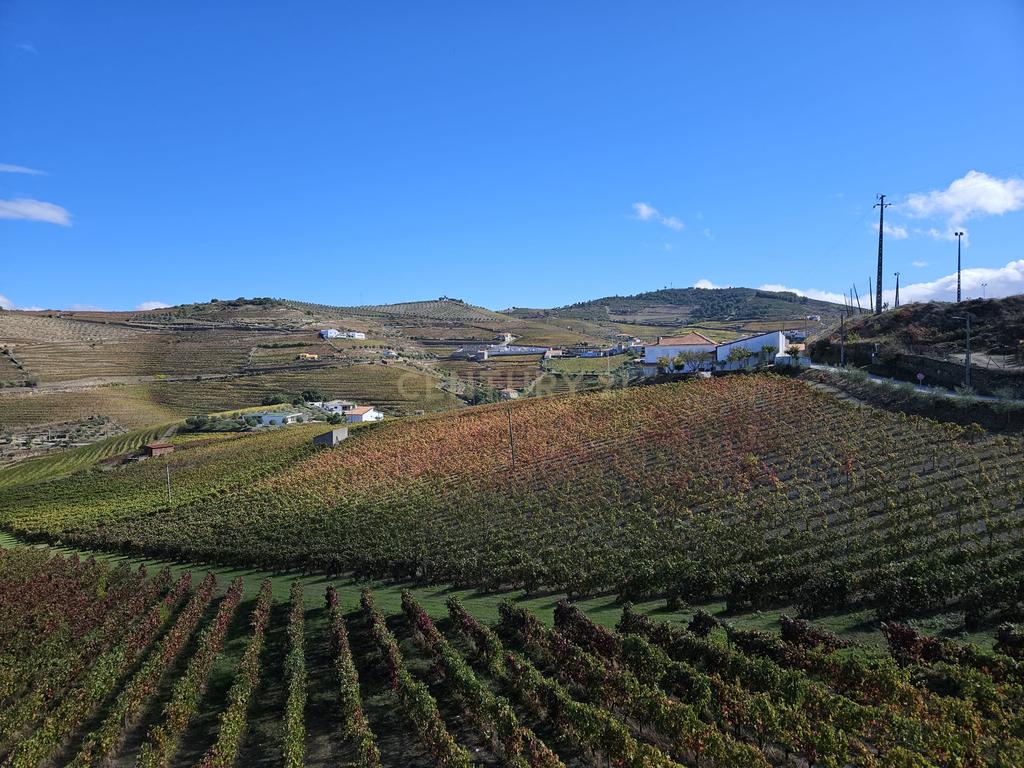 Moradia no Coração do Douro, Ervedosa do Douro - Image 34