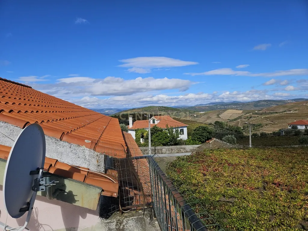 Moradia no Coração do Douro, Ervedosa do Douro - Image 32