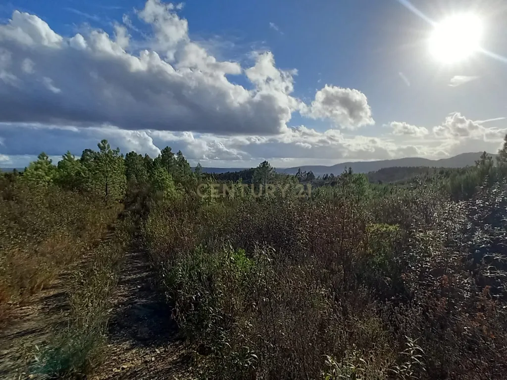 Terreno Rustico Atalaia-Sarnadas de Rodão - Image 11