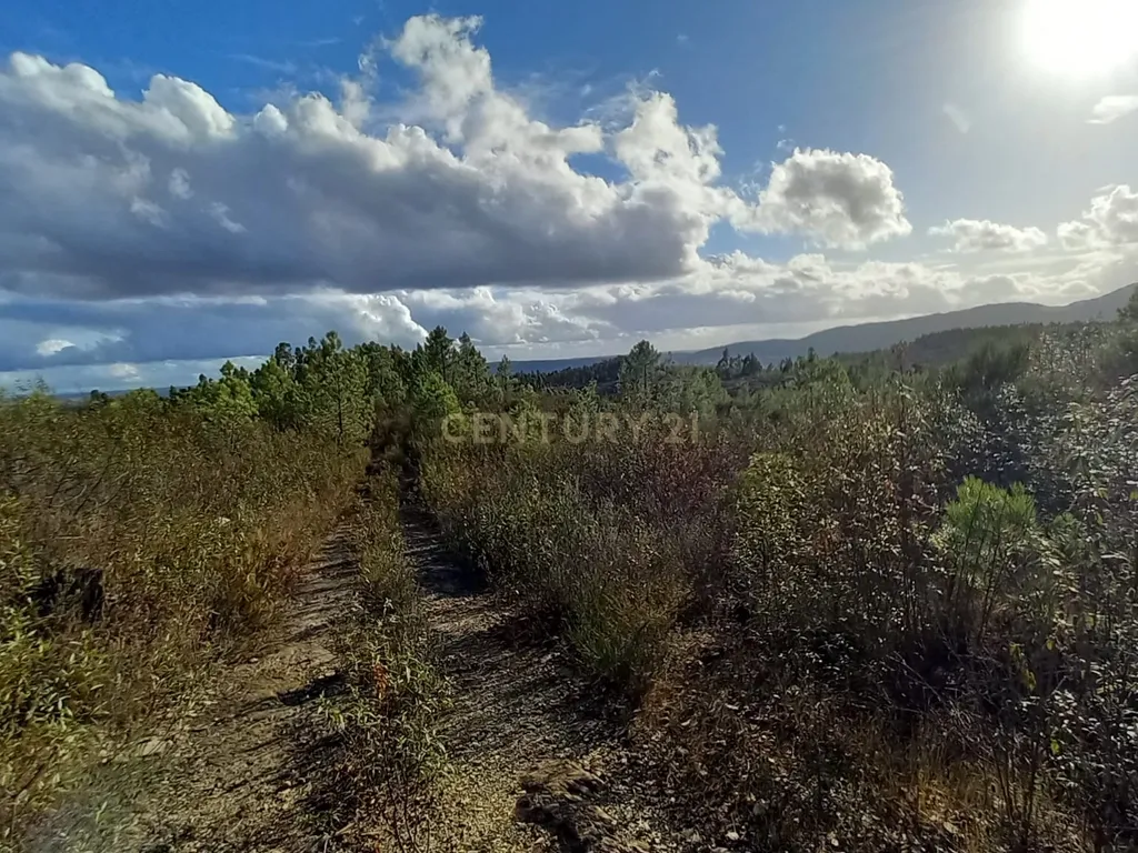 Terreno Rustico Atalaia-Sarnadas de Rodão - Image 10