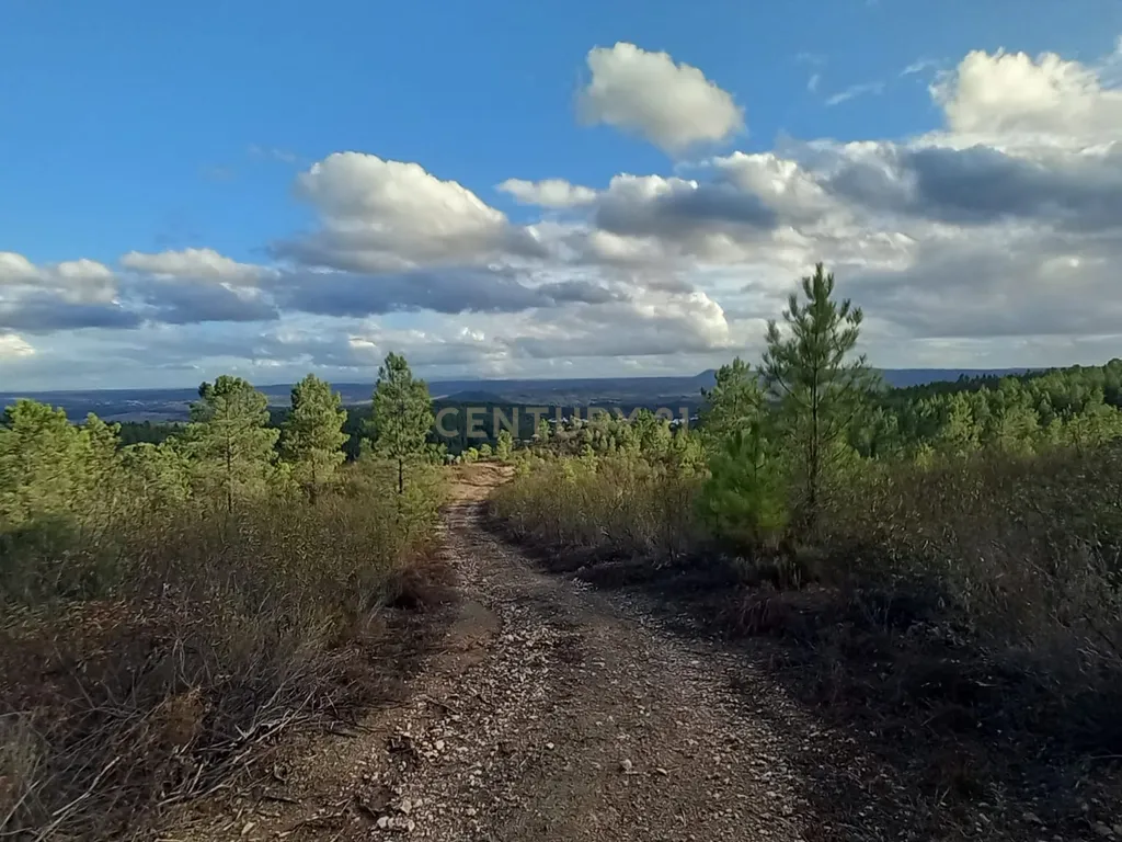 Terreno Rustico Atalaia-Sarnadas de Rodão - Image 2