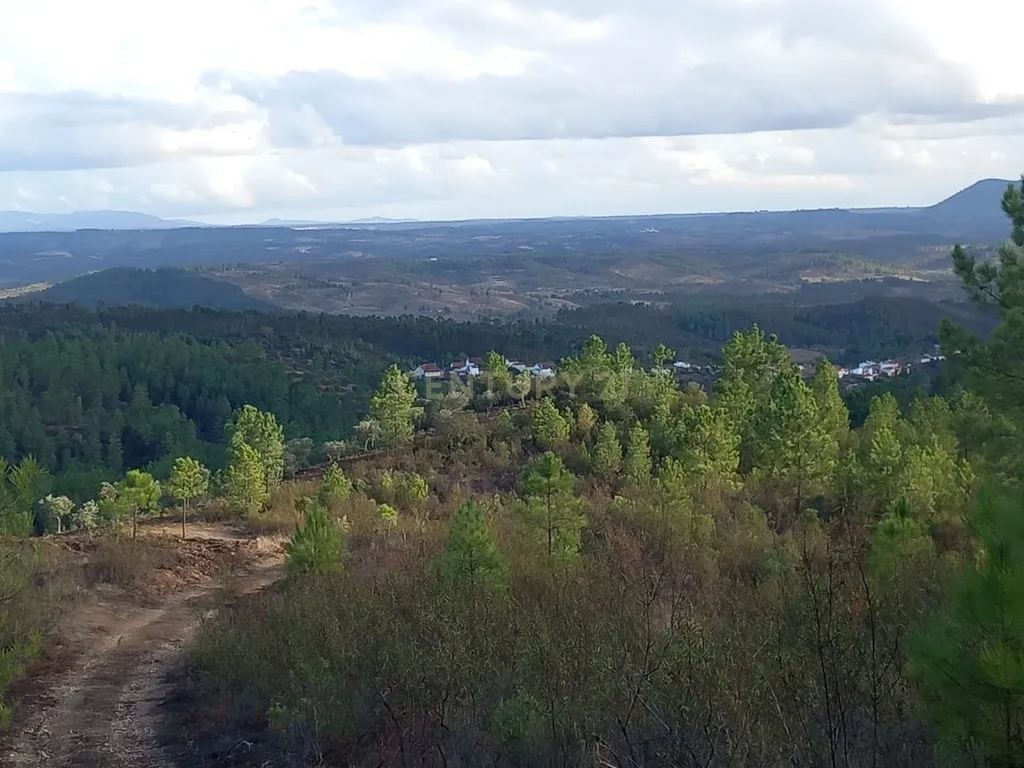 Terreno Rustico Atalaia-Sarnadas de Rodão - Image 17