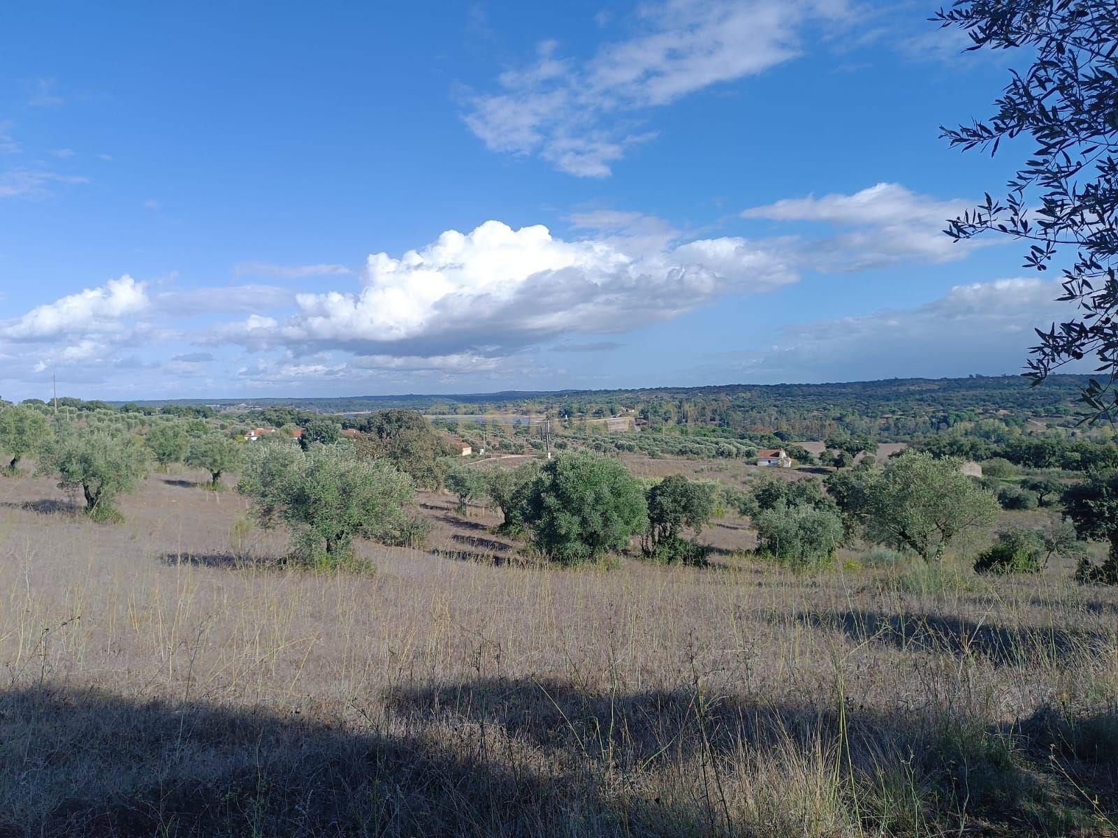 Terreno perto da Barragem de Montargil - Image 8
