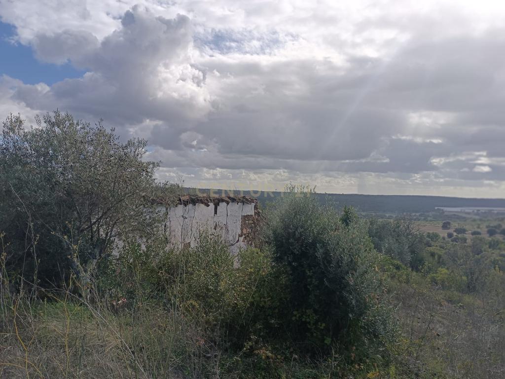 Terreno perto da Barragem de Montargil - Image 4