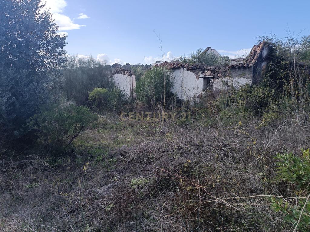 Terreno perto da Barragem de Montargil - Image 2
