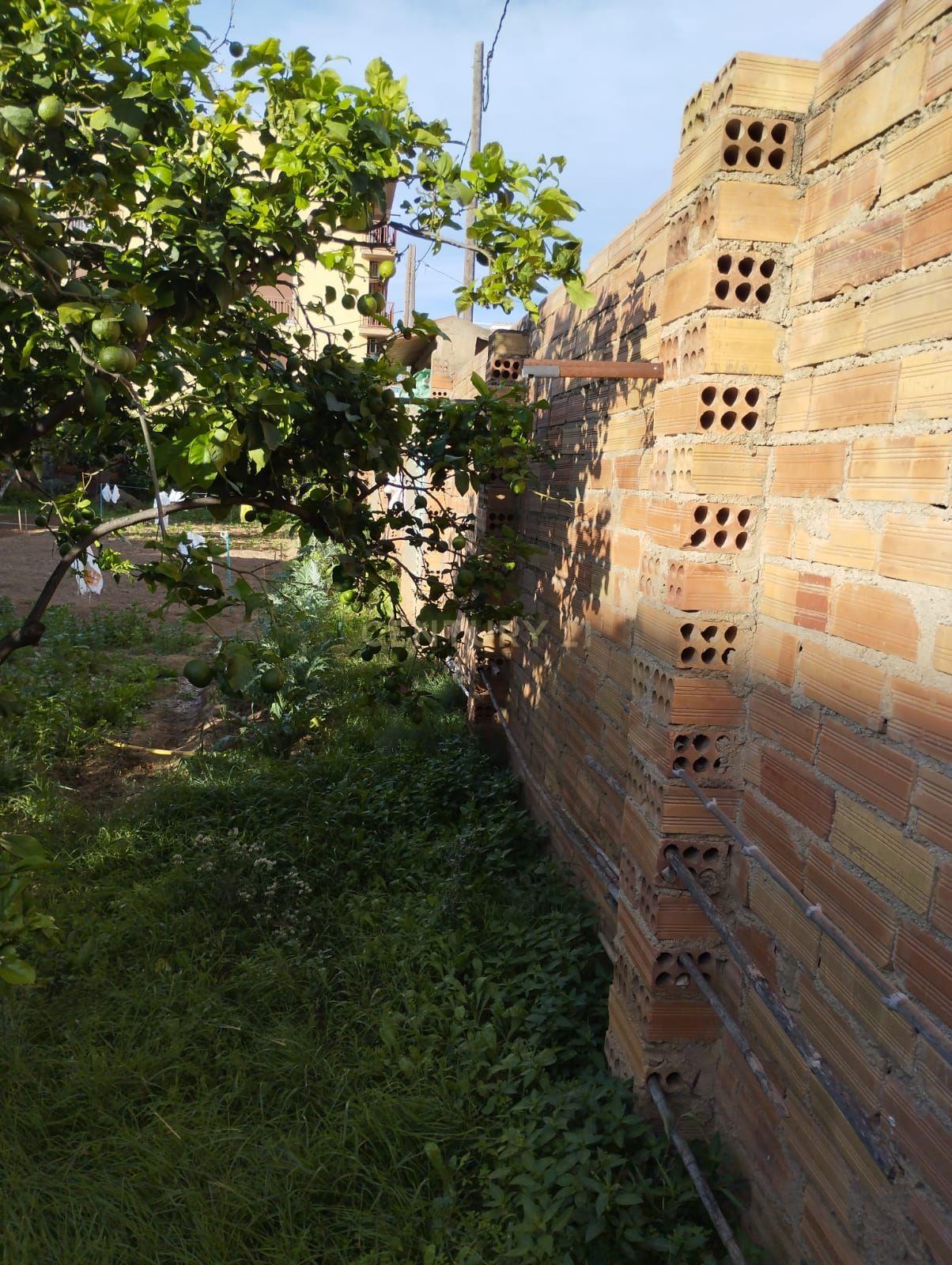 undefined - Image 12