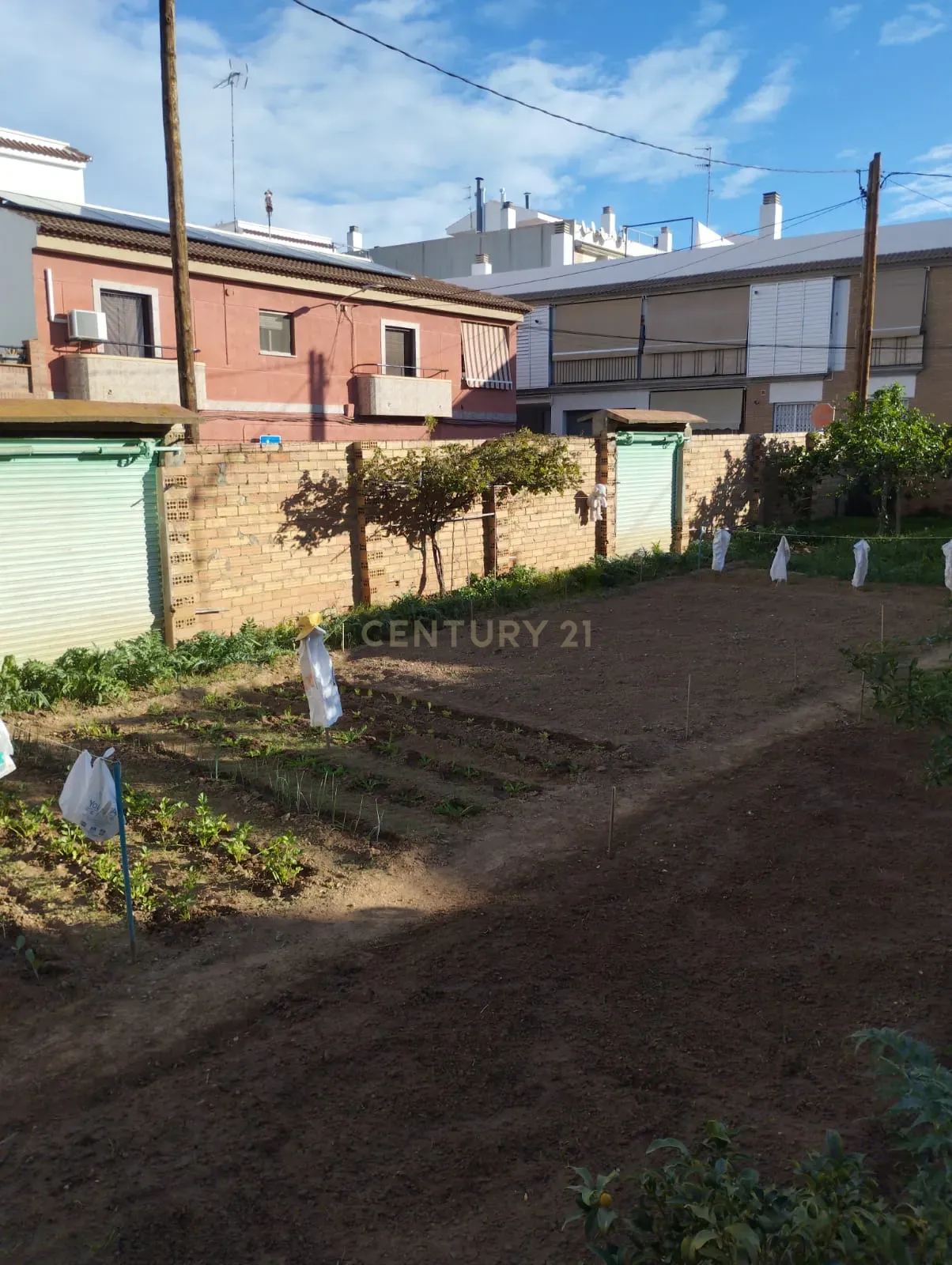 undefined - Image 6