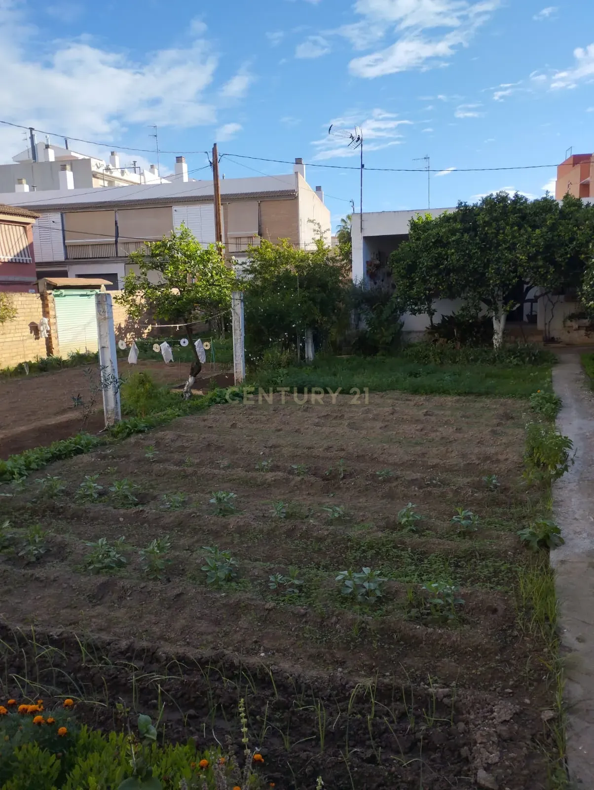 undefined - Image 7