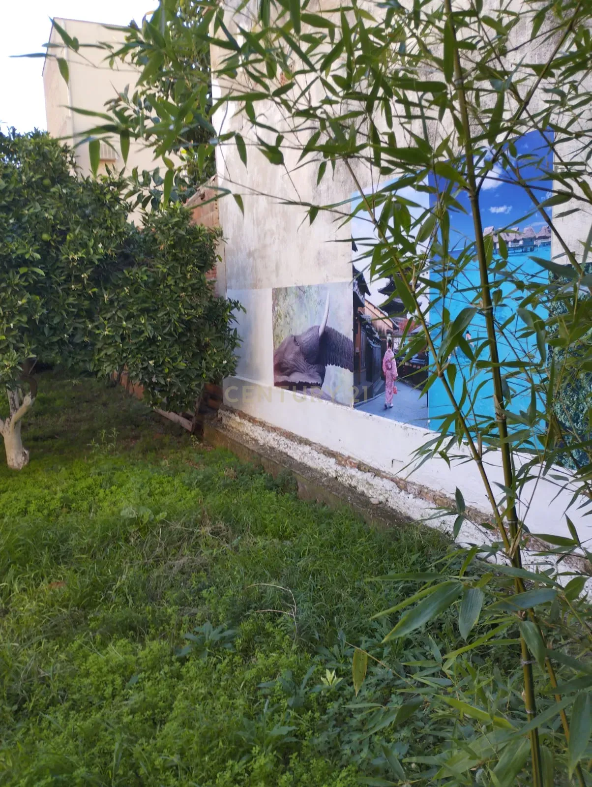 undefined - Image 16
