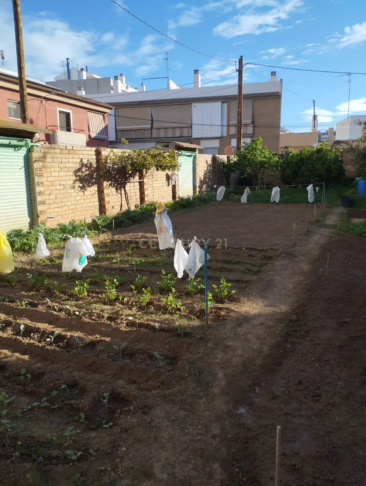 undefined - Image 30