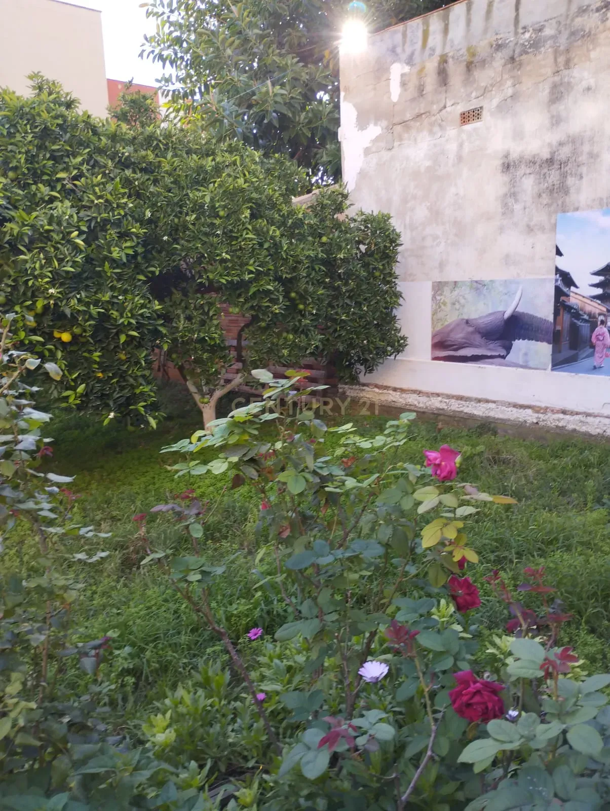 undefined - Image 19