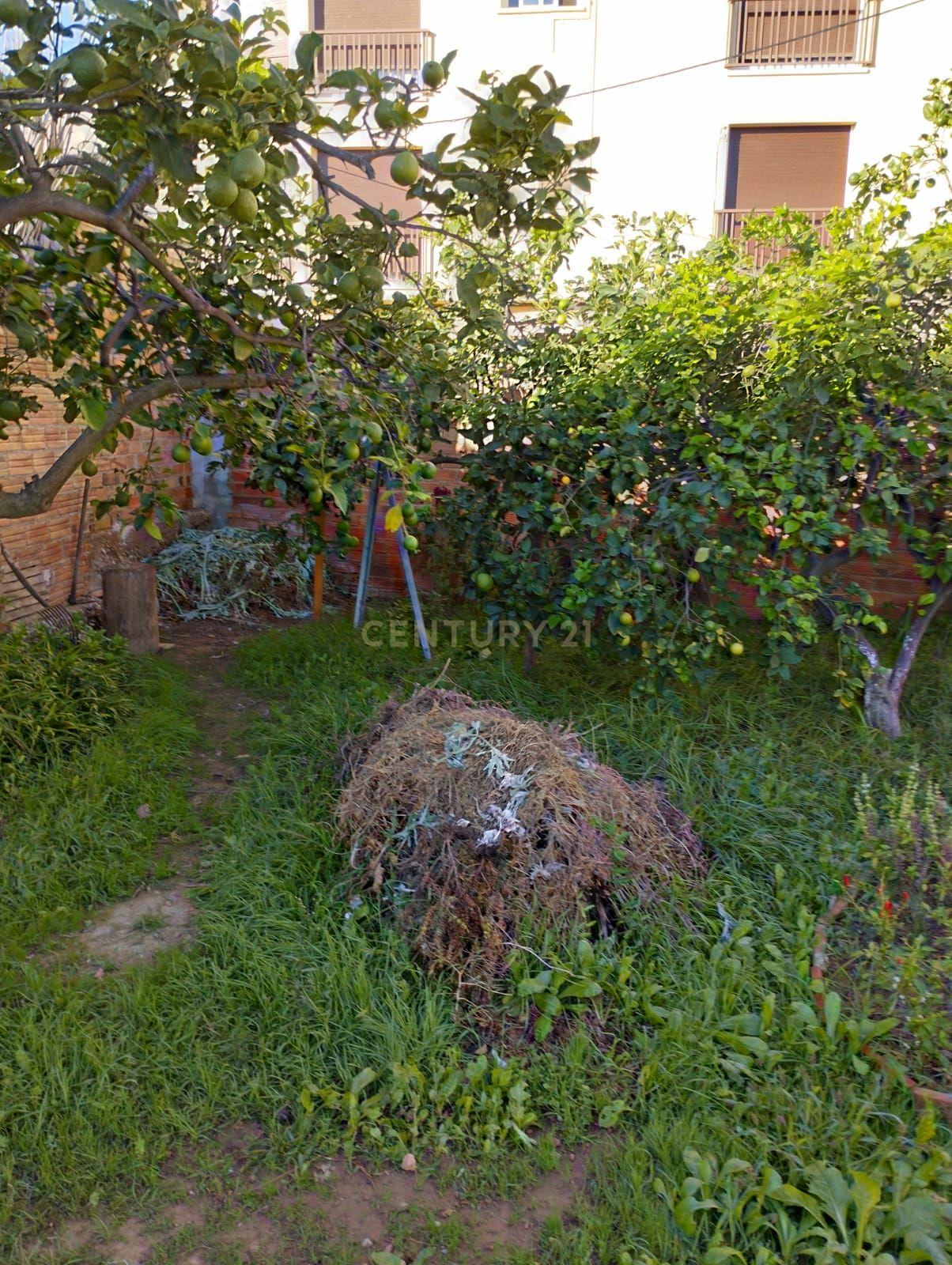 undefined - Image 27