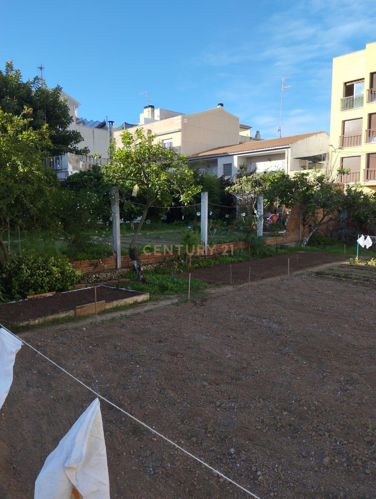 undefined - Image 4