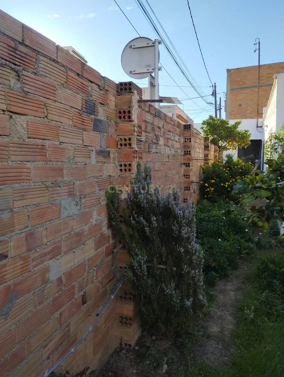 undefined - Image 23