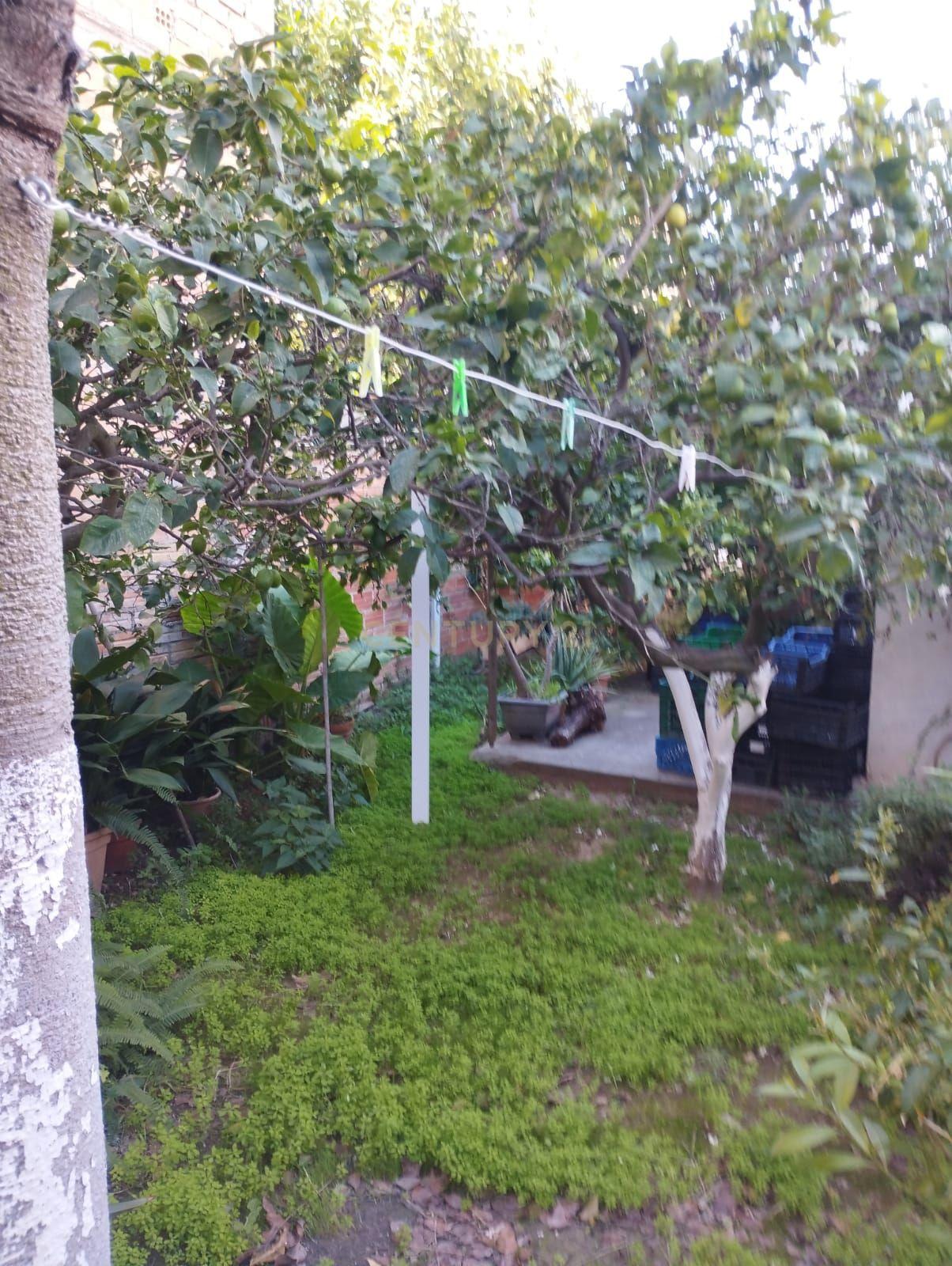 undefined - Image 22