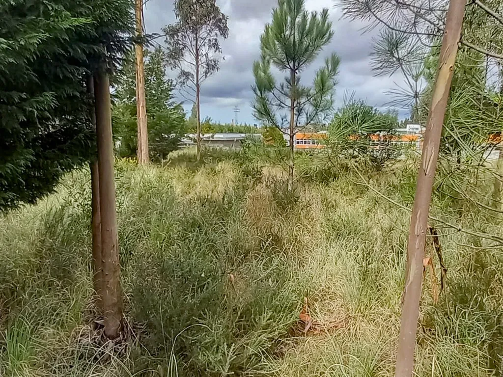 Terreno com 1157m2, com viabilidade de construção em Rio Meão - Santa Maria da Feira - Image 2