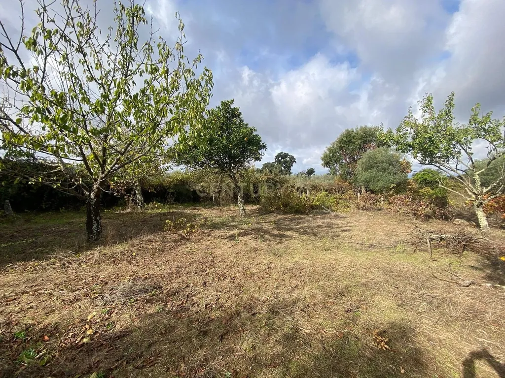 Terreno em Escalos de Baixo, Castelo Branco - Image 3