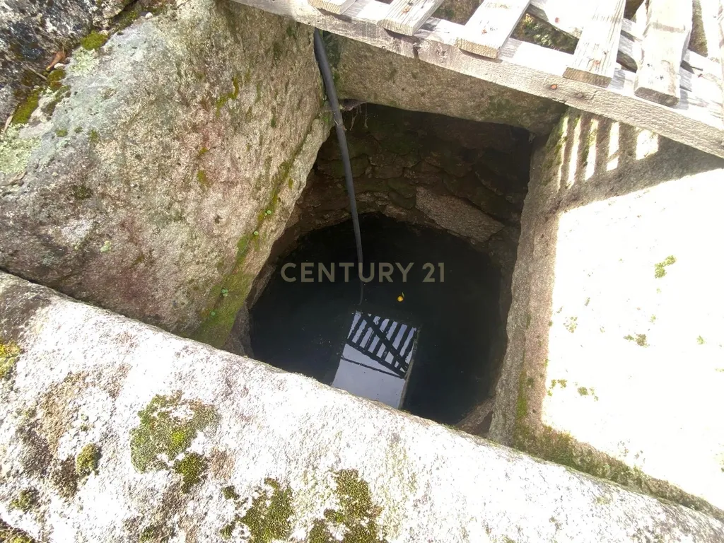 Terreno em Escalos de Baixo, Castelo Branco - Image 6