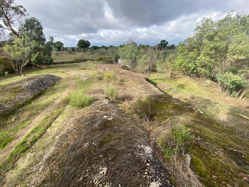 Terreno em Escalos de Baixo, Castelo Branco - Image 11