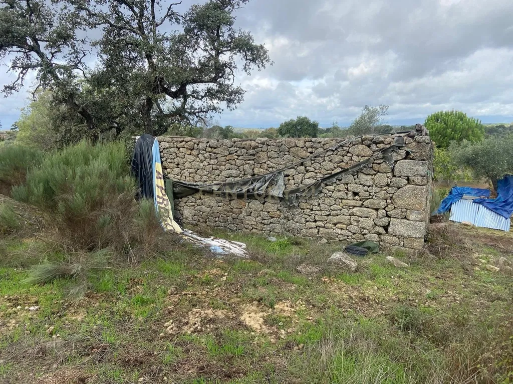 Terreno em Escalos de Baixo, Castelo Branco - Image 12